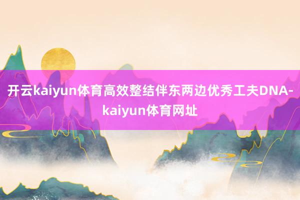 开云kaiyun体育高效整结伴东两边优秀工夫DNA-kaiyun体育网址