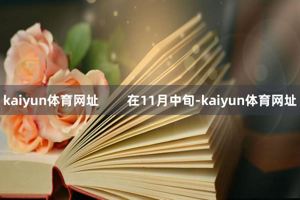 kaiyun体育网址        在11月中旬-kaiyun体育网址