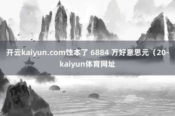开云kaiyun.com蚀本了 6884 万好意思元（20-kaiyun体育网址