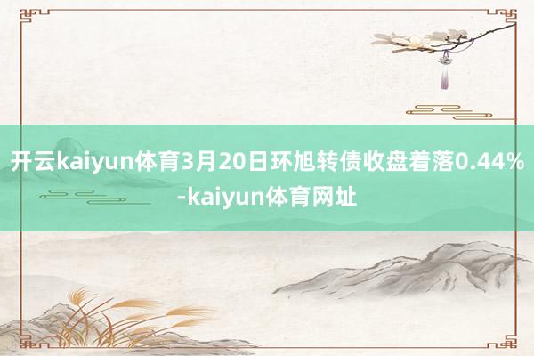 开云kaiyun体育3月20日环旭转债收盘着落0.44%-kaiyun体育网址