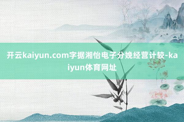 开云kaiyun.com字据湘怡电子分娩经营计较-kaiyun体育网址