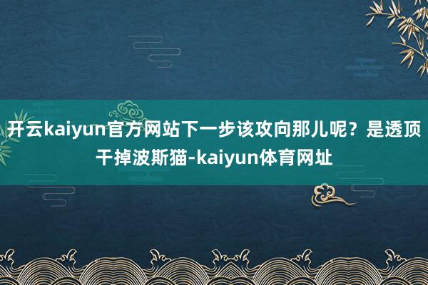 开云kaiyun官方网站下一步该攻向那儿呢?是透顶干掉波斯猫-kaiyun体育网址