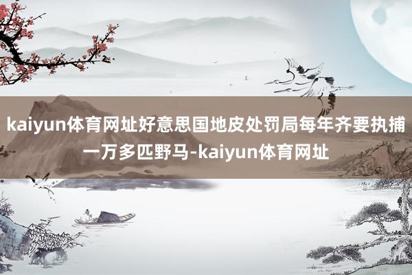 kaiyun体育网址好意思国地皮处罚局每年齐要执捕一万多匹野马-kaiyun体育网址