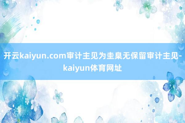 开云kaiyun.com审计主见为圭臬无保留审计主见-kaiyun体育网址