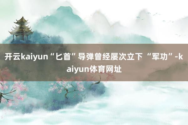 开云kaiyun“匕首”导弹曾经屡次立下 “军功”-kaiyun体育网址