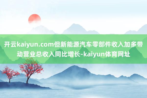 开云kaiyun.com但新能源汽车零部件收入加多带动营业总收入同比增长-kaiyun体育网址