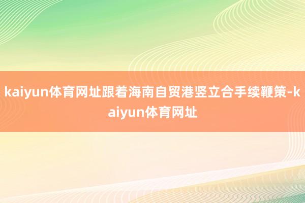 kaiyun体育网址跟着海南自贸港竖立合手续鞭策-kaiyun体育网址