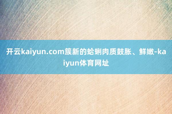 开云kaiyun.com簇新的蛤蜊肉质鼓胀、鲜嫩-kaiyun体育网址