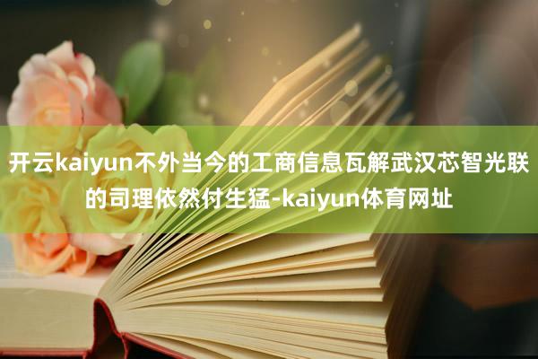 开云kaiyun不外当今的工商信息瓦解武汉芯智光联的司理依然付生猛-kaiyun体育网址