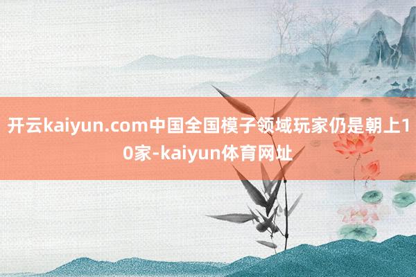 开云kaiyun.com中国全国模子领域玩家仍是朝上10家-kaiyun体育网址