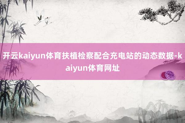 开云kaiyun体育扶植检察配合充电站的动态数据-kaiyun体育网址
