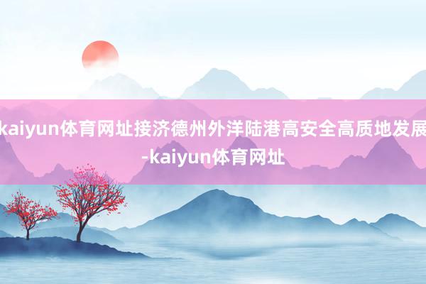 kaiyun体育网址接济德州外洋陆港高安全高质地发展-kaiyun体育网址